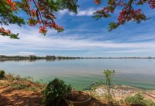 Telangana Government Holidays 2023, Bihar Govt Holiday List 2023, Telangana Government Holidays 2024