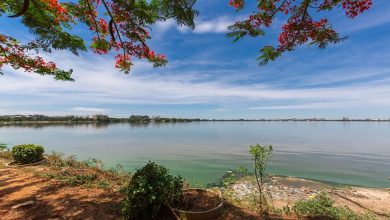 Telangana Government Holidays 2023, Bihar Govt Holiday List 2023