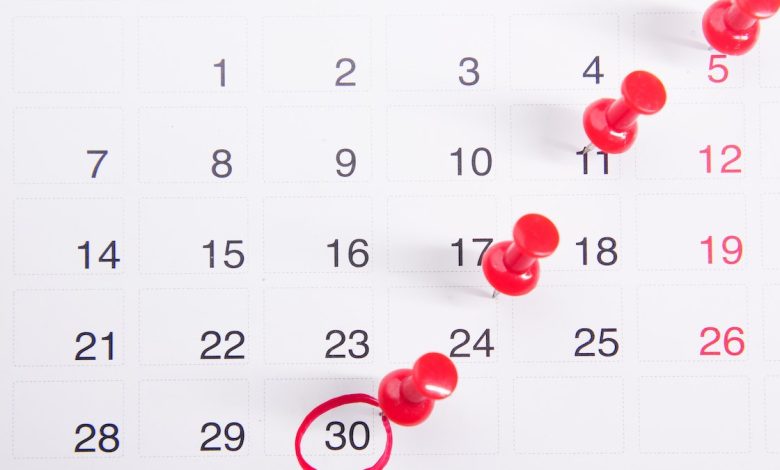 Gujarat Government Holidays 2025, MP government holidays 2023