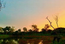 Hill Stations In Karnataka