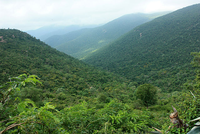Male Mahadeshwara Hills