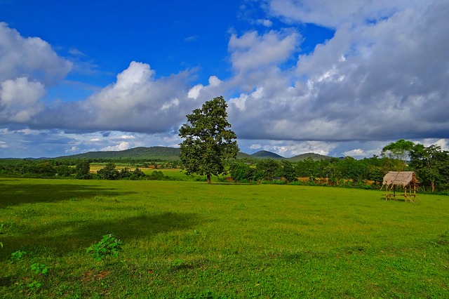 Sirsi, Pachaimalai Hills