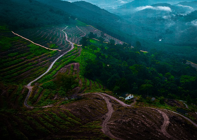 Thekkady