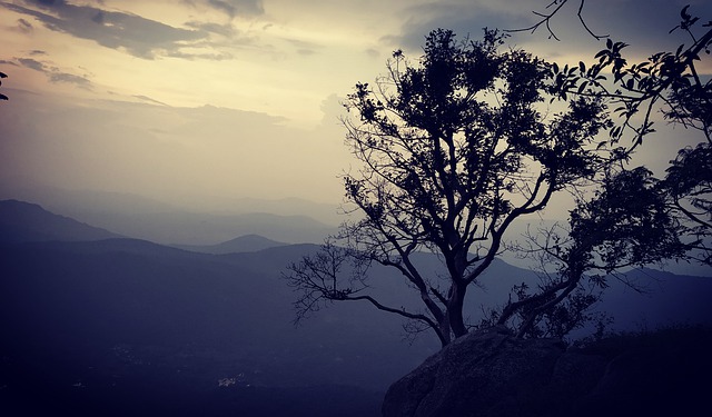 Yercaud