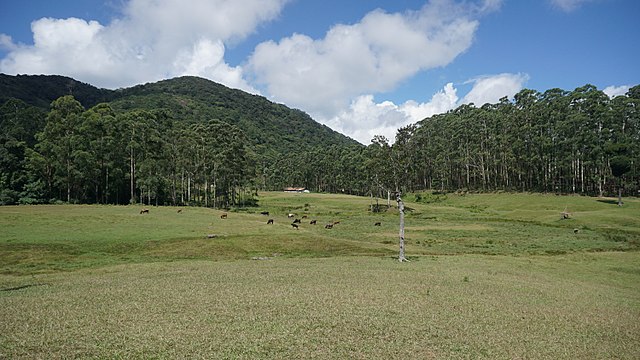 Manjolai Hills