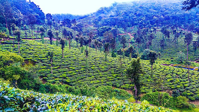 valparai