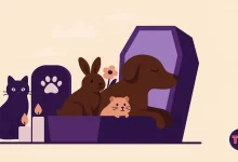 Pet Cremation Bangalore