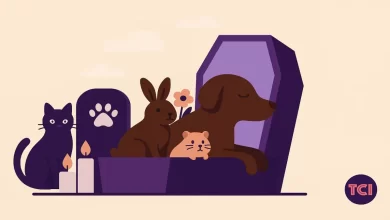 Pet Cremation Bangalore